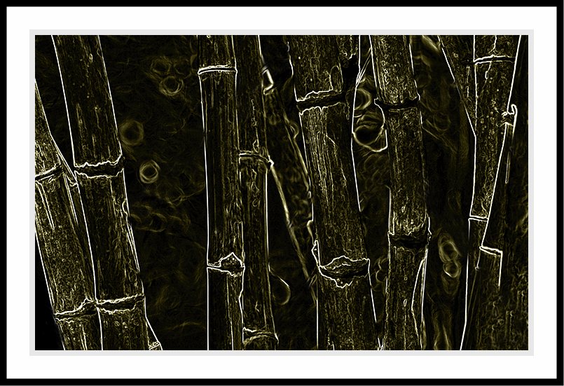 Abstract of bamboo.
